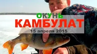 Ловля огромного Окуня   Камбулат 15 апреля 2015 Рыболовный гид Южного Урала