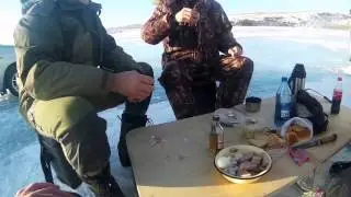 ловля карася зимой со льда на удочку и на кресты