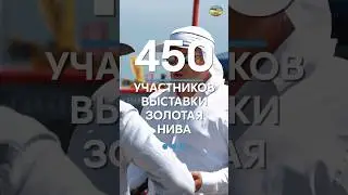 Золотая нива 2024 уже скоро 🚀 #сельскоехозяйство #агровыставка #сельхозтехника