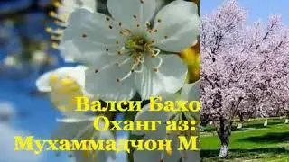 ФАСЛИ БАХОР 🌹🌹🌹🌹🌹