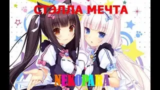 Кошачий рай #2 ~ Чокола и Ванилла.