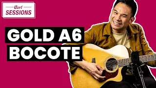 A Stealth Stunner from Cort! The Gold-A6 Bocote Acoustic Guitar [The Sessions]