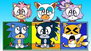 Mystery Box Challenge 2 - Don't Choose the wrong BABY SONIC | Sonic The Hedgehog 2 ANIMATION