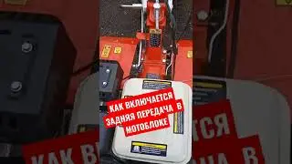 Как включить заднюю передачу в мотоблоке Shtenli 1030 