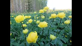 Весна в Вятском крае. Любимые пейзажи