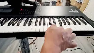 MORENA LA CAUSA FUISTE TUTORIAL #losterriblesdelnorte  KORG T2