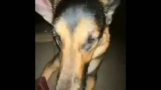 3 i4ZI3L2Gl6ph5d