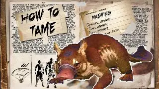 Ark Survival Evolved How To Tame Maewing
