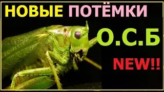 4.29 Новый 