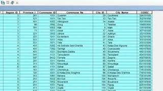 Export data from ArcGis to Excel