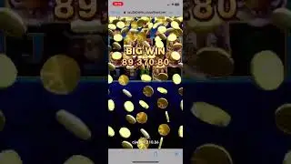 1xbetda slot uynash