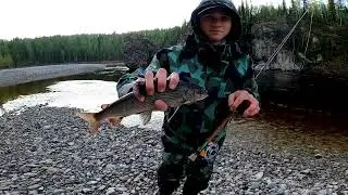 Щука на живца,хариус и сиг на нахлыст.