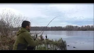 КРУПНЫЙ КАРАСЬ НА ФИДЕР ДОНКИ!рыбалка на карася