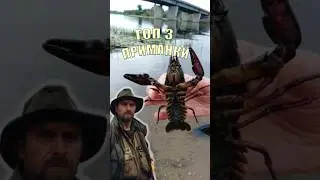 Топ 3 приманки на Раков