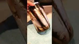 салака пряного посола