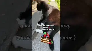 вкусный тортик)😍
