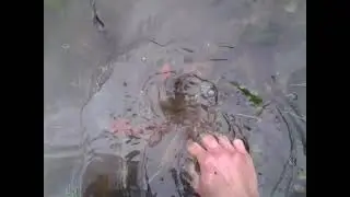 Draining flooded parking lot