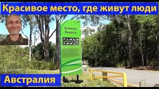 Рутина жизни в Австралии? А вам бы надоело такое? (видео 577)