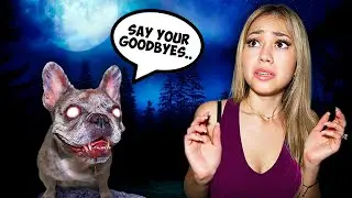 My POSSESSED DOG Started TALKING?!
