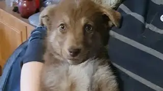 Маленькая актриса Злата возвращается на Ваши экраны.