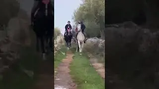Circolo Ippico Masseria Mofetta - e galopp'