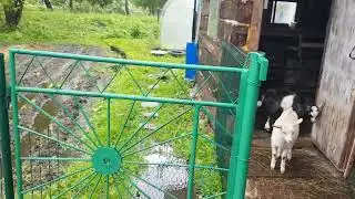 Потоп после дождя // After strong rain