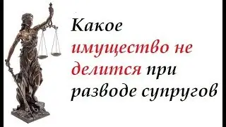 #юрист#консультация Какое Имущество Не Делится При Разводе Супругов