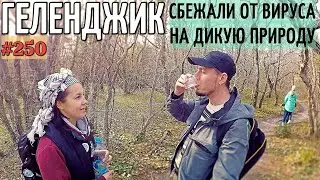Дикий пляж СОСНОВКА. Вырвались на природу, пока нет карантина LOVDAN vlog 