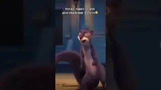 💃💃💃💃