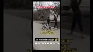 КАЙНОНАСИ ОБЕРГАН МУШ
