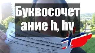 Норвежский алфавит. Как читаются норвежские буквосочетания h, hv