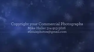 Copyright your Commercial Photographs