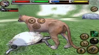 Cougar Simulator VS Hawk, Bear, Dear, Rabbit, Wolf, Raccoon, Snake