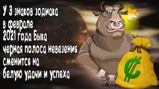 У 3 знаков зодиака в феврале 2021 года Быка черная полоса невезения сменится на белую удач и успехов