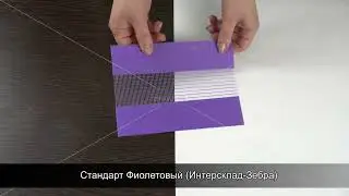 Стандарт Фиолетовый Интерсклад Зебра