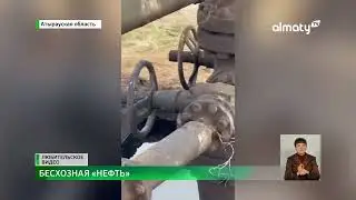 Заброшенное месторождение: в Атырауской области скот попадает в открытую нефтяную скважину