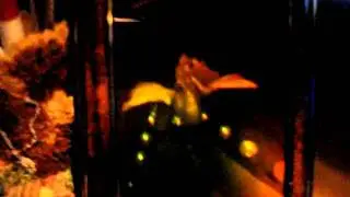 MOV06231