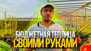 Строительство деревянной теплицы от А до Я.  Все тонкости стройки.