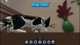 (OLD UNPRIVATED) Roblox Warrior Cats Film 1 (Stick Cat) (OLD UNPRIVATED)