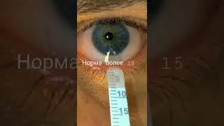 А сколько бы у Вас было? 