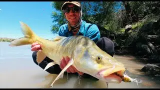BIG 'Largemouth Yellowfish' Top Water Takes.