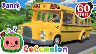 Bliv ved og hæng i | Wheels on the Bus  | Børnesange for Babyer | CoComelon Dansk