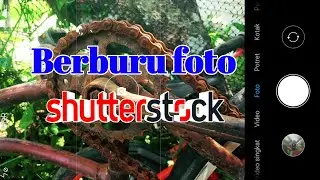 Berburu foto disekitar kita | datangkan dollar dari shutterstock 