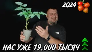 Новогодние Поздравление Подписчиков,Итоги томатного сезона