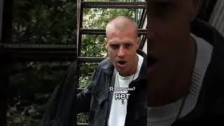 NLO Лапа