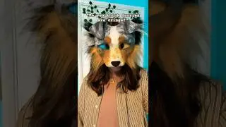 Sorry 😭😭 (NO HATE I LITERALLY AM A FURRY) #therian #furry #alterhuman #antizoo