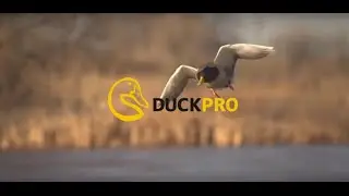 duckpro calls