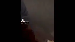Ваааа и к1ант🤣🤣🤣Шамиль Алероев