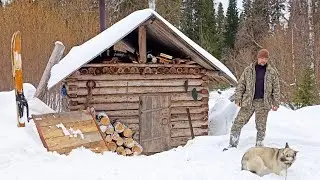 НА БОЛОТЕ УЖЕ ТОКУЮТ ТЕТЕРЕВА / ЖИЗНЬ В ТАЙГЕ. ЗАГОТОВКА ДРОВ НА НЕСКОЛЬКО ДНЕЙ ВПЕРЁД.