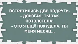 - Дорогая, ты так потолстела! Сборник свежих анекдотов! Юмор!